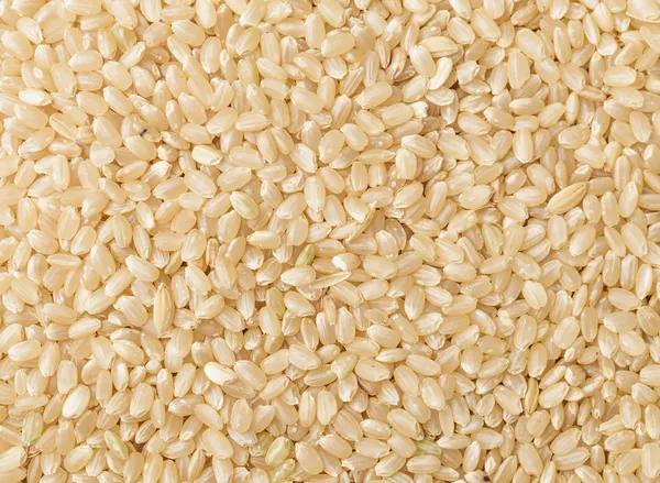 Arroz integral sin cocer — Foto de Stock