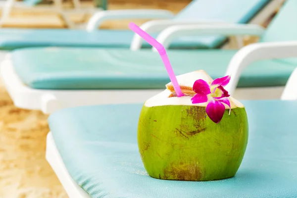 用吸管在长凳上海滩椰子 — 图库照片