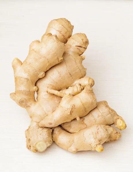 Ginger — Stock Photo, Image