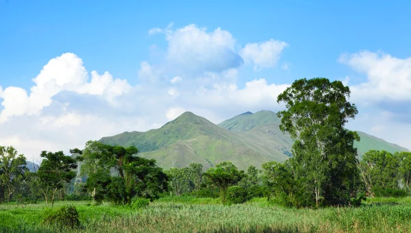 General landscape — Stock Photo, Image