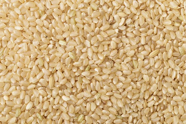 Brown rice — Stock Photo, Image