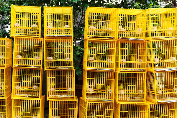 Vogel markt in hong kong — Stockfoto