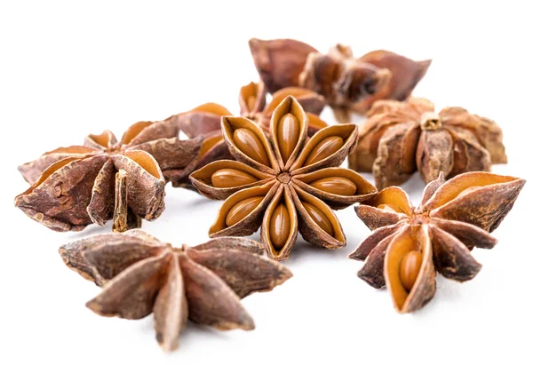 Chinese herbal star anise — Stock Photo, Image