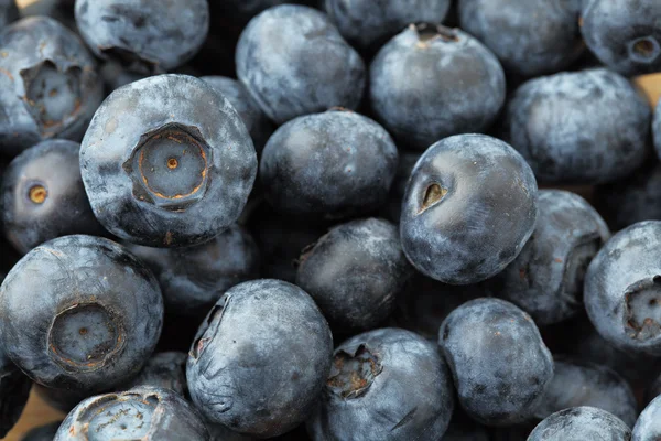 Blueberry — Stock Photo, Image