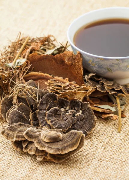 Chinese herbal medicine with ingredient — Stock Photo, Image