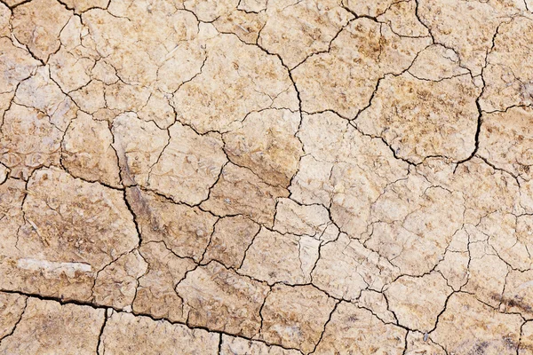 Tierras grietas secas — Foto de Stock
