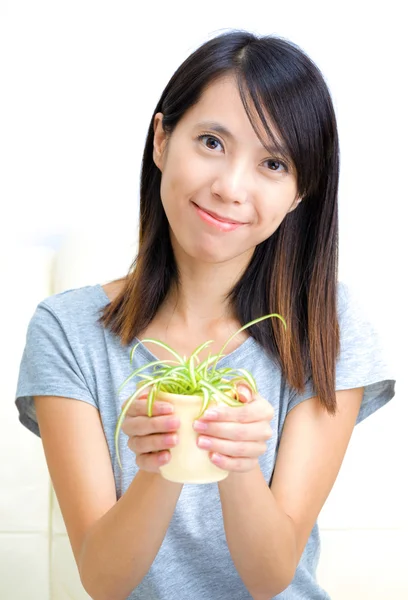 Asiático mulher segurando vaso planta — Fotografia de Stock