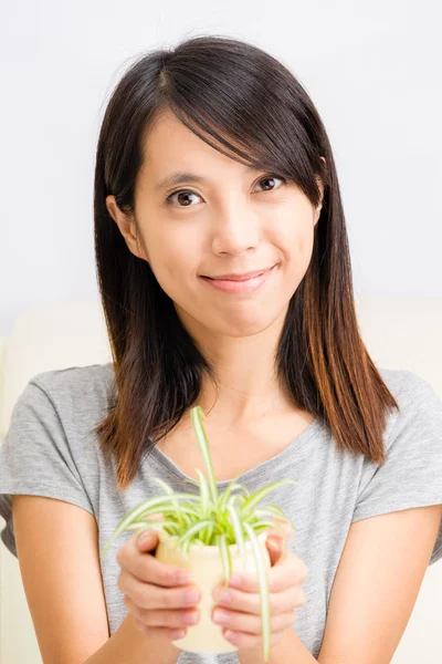 Aziatische vrouw met ingegoten plant — Stockfoto