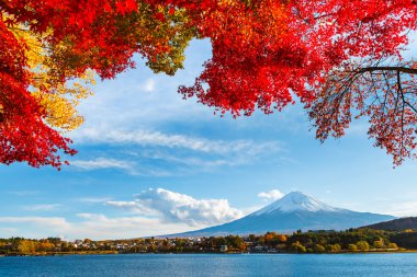 mt. fuji Güz
