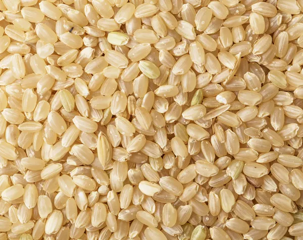 Brauner Reis Hintergrund — Stockfoto
