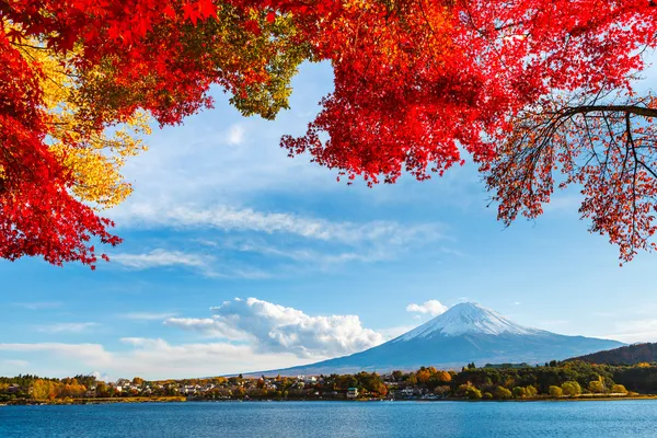 Mount fuji in het najaar van — Stockfoto