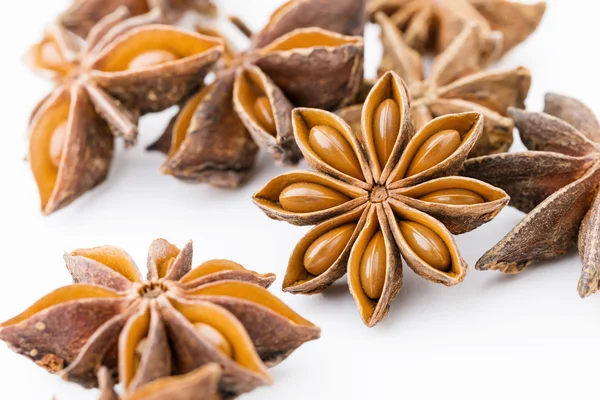 Star anise close up — Stock Photo, Image