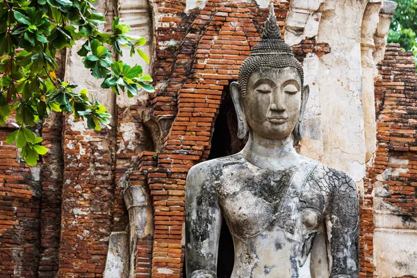 Gamle Buddha statue - Stock-foto