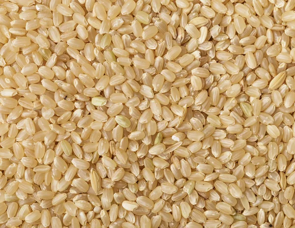 Fondo de arroz integral — Foto de Stock