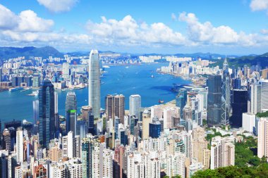 Hong kong manzarası