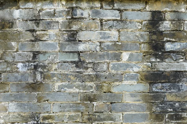 Alte graue Ziegelmauer — Stockfoto