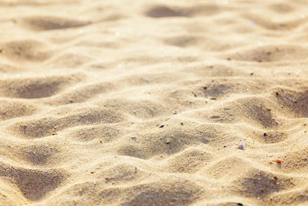 Sand beach background — Stock Photo, Image