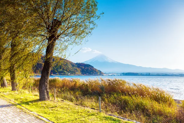 Mt. Fuji and lake — Stock Photo, Image