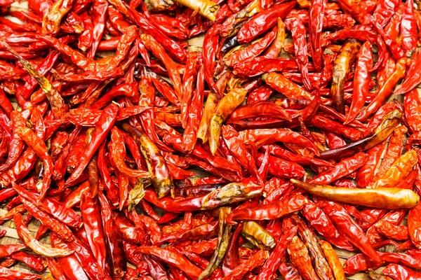 Červené chilli papričky — Stock fotografie