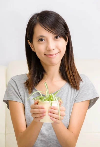 Asiatisk kvinna med krukväxt — Stockfoto