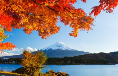 mt. fuji Güz