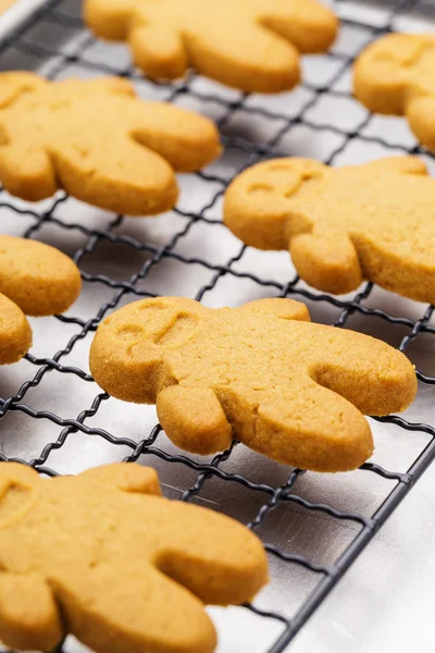 Baked gingerbread cookies close up — Stock Photo, Image