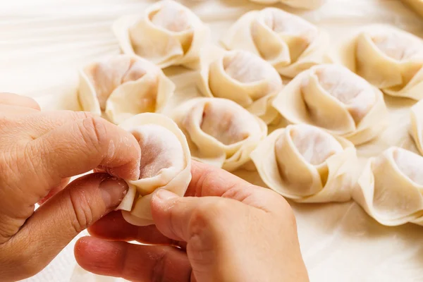 Bolinho chinês caseiro — Fotografia de Stock