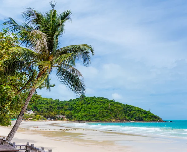 Tropická pláž s palmami — Stock fotografie
