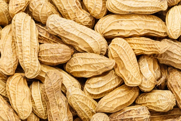 Peanut — Stock Photo, Image