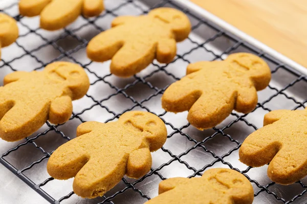 Baked gingerbread cookies — Stock Photo, Image