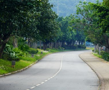 araç yolu ile ağaç