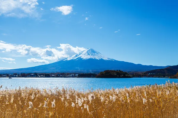 Mt. Fuji and lake — Stock Photo, Image