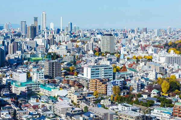 Tokyo içinde cityscape — Stok fotoğraf