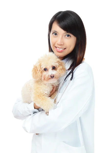 Asiatisk kvinna veterinären — Stockfoto