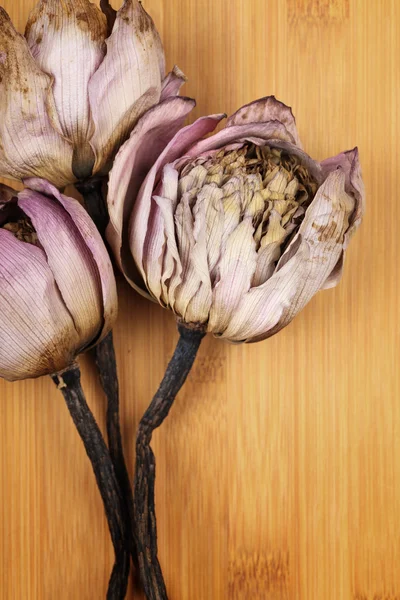 Bouquet of dried lotus — Stock Photo, Image