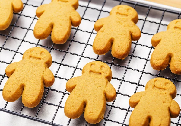 Homemade gingerbread — Stock Photo, Image