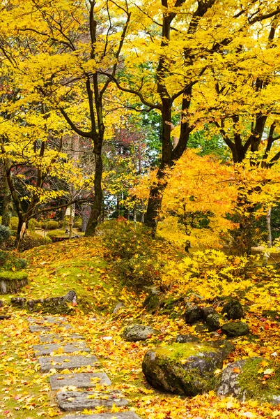 Las jesienią — Zdjęcie stockowe