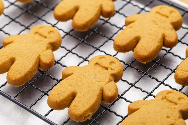 Homemade gingerbread cookies — Stock Photo, Image