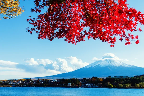 Mt. Fuji in autumn — Stock Photo, Image