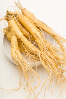 Beyaz arka plan ile ginseng