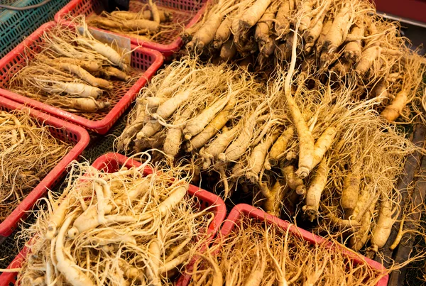 Ginseng no mercado coreano — Fotografia de Stock