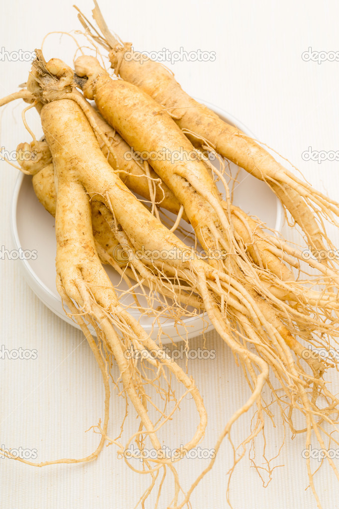 Ginseng with white background