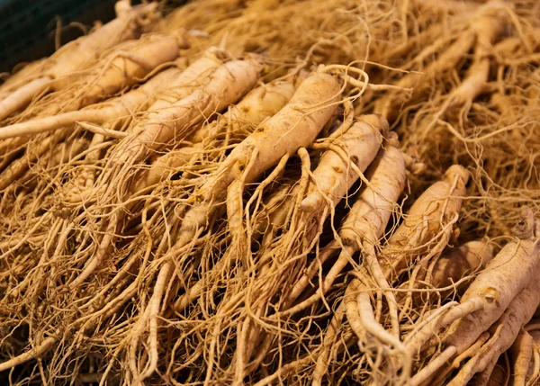 Ginseng no mercado coreano — Fotografia de Stock