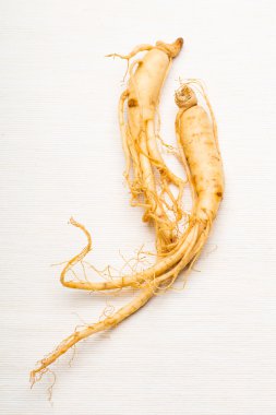 Beyaz arka plan üzerinde ginseng