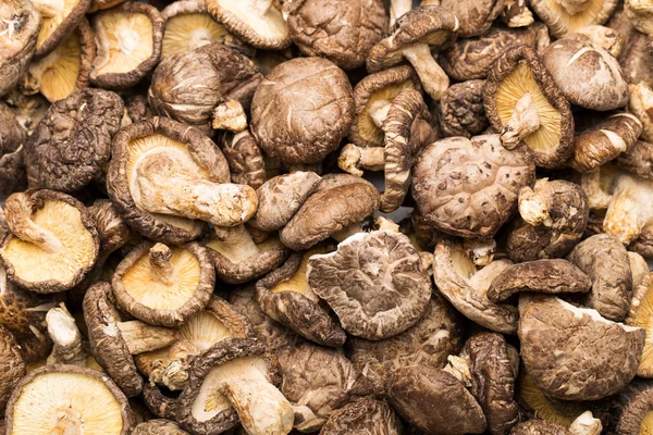 Gedroogde shiitake — Stockfoto