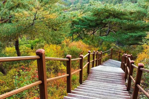 Wooden hiking path to the mountain — Stock Photo, Image