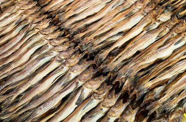 Dried salty fish — Stock Photo, Image