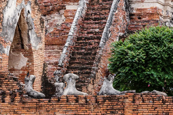 Broken Buddha i Ayuttaya, Thailand - Stock-foto