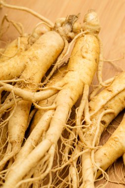ginseng taze yakın çekim