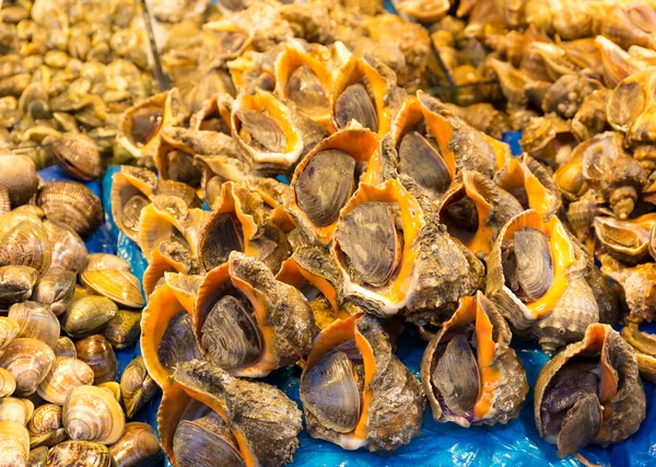 식품 시장에서 해산물 — 스톡 사진